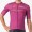 Bekleidung Herren Cyclamen Trikot Giro d'Italia 2024 Classification