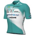 Bekleidung Herren Ale VF Group-Bardiani CSF-Faizane 2024 trikot Bekleidung Herren Ale VF Group-Bardiani CSF-Faizane 2024 trikot