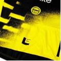 Bekleidung Herren Team Visma Lease a bike 2025 The Wingbeat trikot Bekleidung Herren Team Visma Lease a bike 2025 The Wingbeat trikot