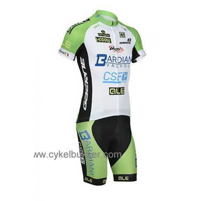 Bardiani CSF Radbekleidung Radtrikot Kurzarm und Fahrradhosen Kurz PU99B Bardiani CSF Radbekleidung Radtrikot Kurzarm und Fahrradhosen Kurz PU99B