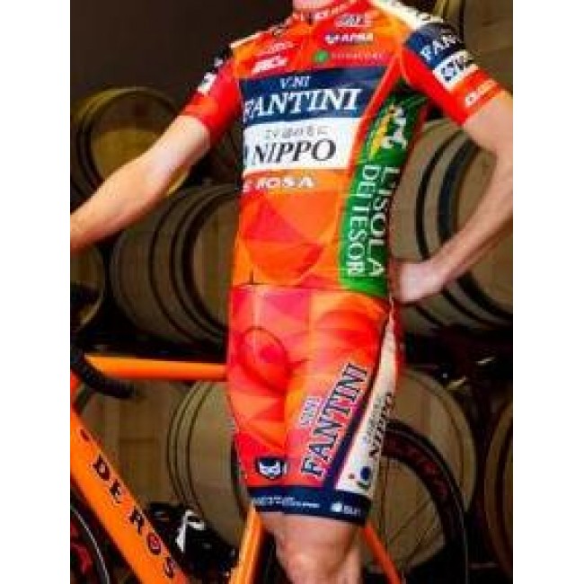 2017 Vini Fantini Nippo Fahrradbekleidung Radteamtrikot Kurzarm+Kurz Radhose Kaufen CUV01 2017 Vini Fantini Nippo Fahrradbekleidung Radteamtrikot Kurzarm+Kurz Radhose Kaufen CUV01